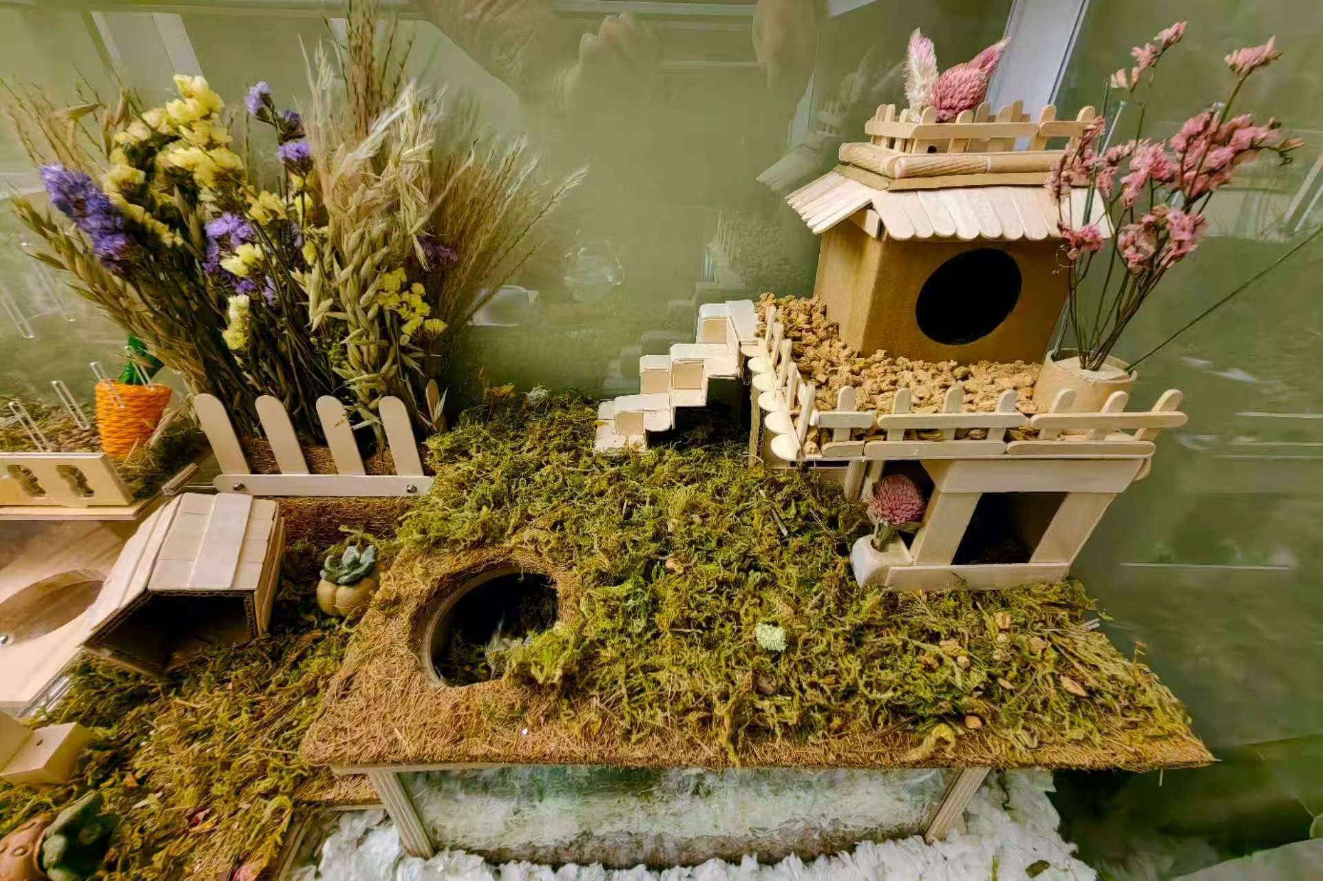 Handmade hamster platform and moss landscape
